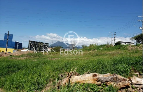Terreno com 0 quartos em Pagani, Palhoça