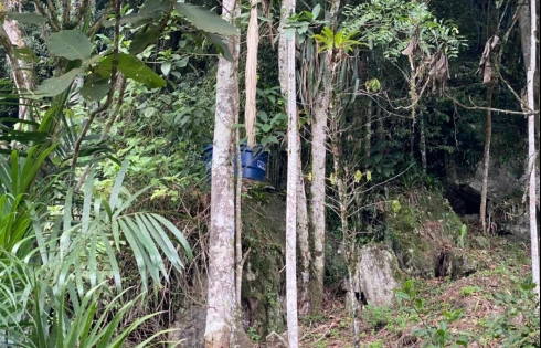 Sítio com 2 quartos em Calemba, Santo Amaro da Imperatriz