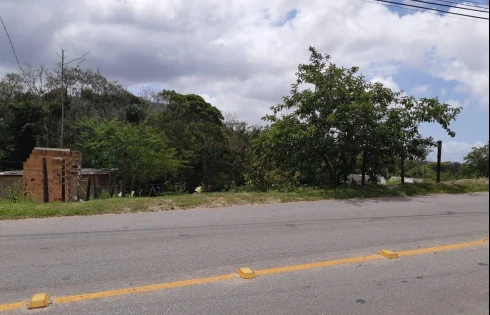 Terreno com 0 quartos em Forquilhas, São José