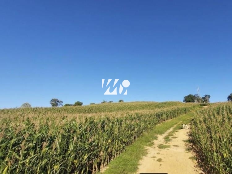 Sítio em Centro, Leoberto Leal. 3 quartos, 92000m². Imagem 12 de 13