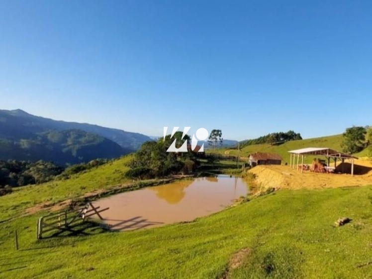 Sítio em Centro, Leoberto Leal. 3 quartos, 92000m². Imagem 5 de 13