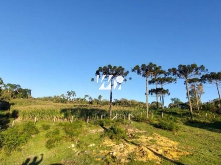 Sítio em Centro, Leoberto Leal. 3 quartos, 92000m². Imagem 6 de 13