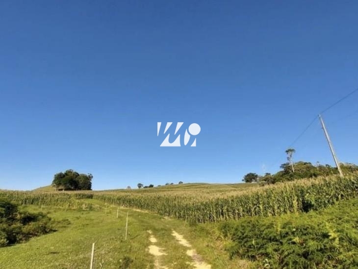 Sítio em Centro, Leoberto Leal. 3 quartos, 92000m². Imagem 8 de 13