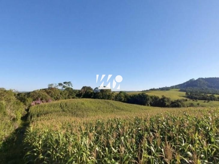 Sítio em Centro, Leoberto Leal. 3 quartos, 92000m². Imagem 9 de 13