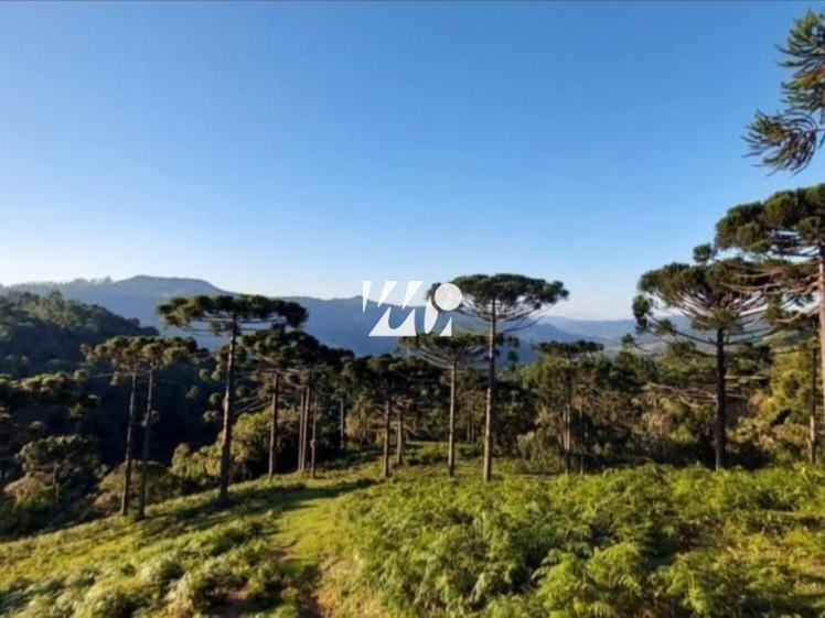 Sítio em Centro, Leoberto Leal. 3 quartos, 92000m². Imagem 13 de 13