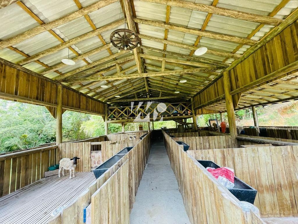 Sítio em aguas mornas , Águas Mornas. 3 quartos, 30508m². Imagem 10 de 20