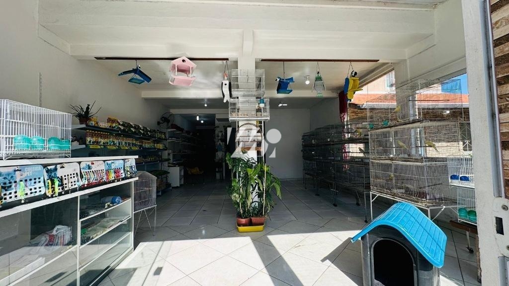 Casa em Madri, Palhoça. 2 quartos, 378m². Imagem 4 de 24