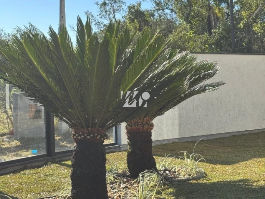 Casa em Forquilhas, São José. 3 quartos, 113m². Imagem 11 de 27