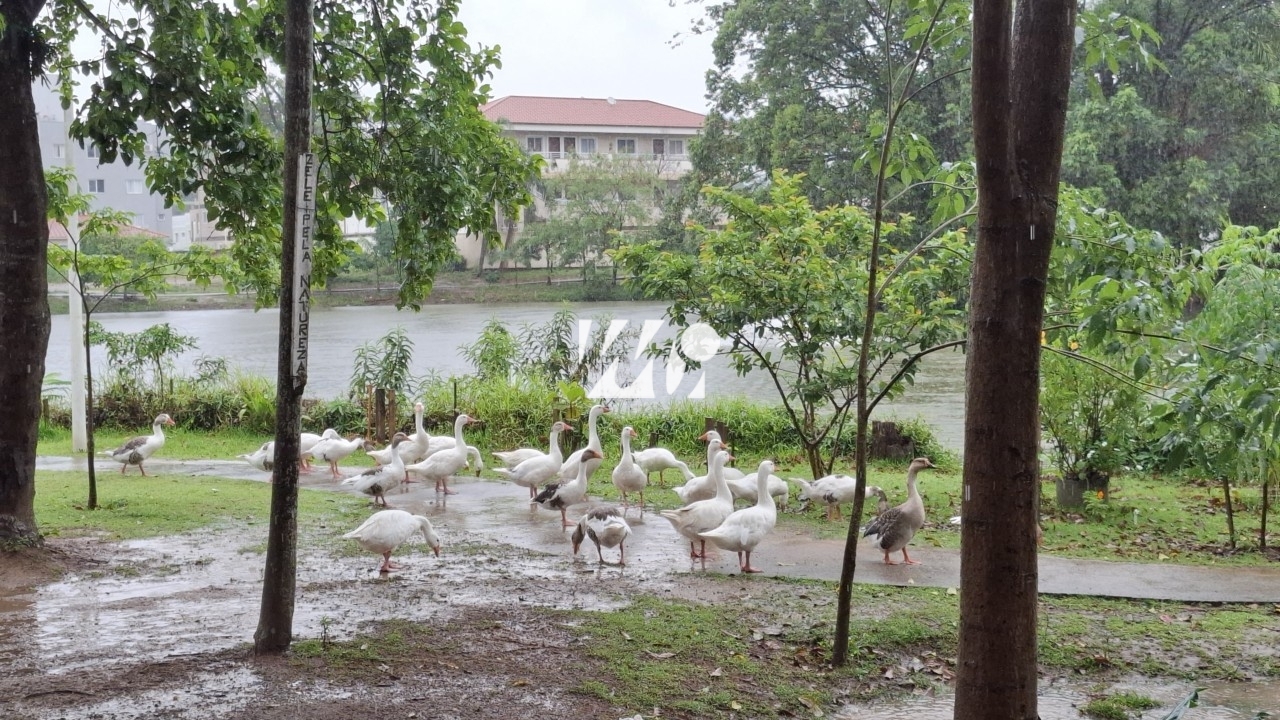Sobrado Geminado em Aririú, Palhoça. 1 quartos, 115m². Imagem 20 de 20
