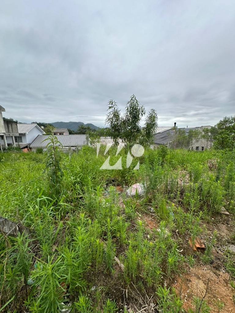 Terreno em Bela Vista, Palhoça. 0 quartos, 0m². Imagem 3 de 3