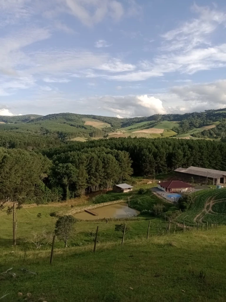 Sítio em Arnópolis, Alfredo Wagner. 3 quartos, 150m². Imagem 5 de 11