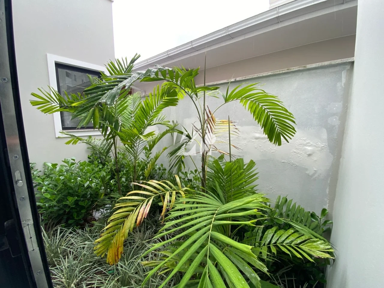 Casa em Pedra Branca, Palhoça. 3 quartos, 187m². Imagem 7 de 11