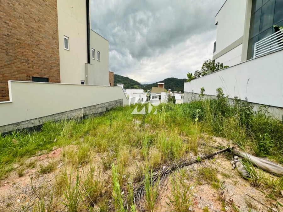 Terreno em Pedra Branca, Palhoça. 0 quartos, 0m². Imagem 4 de 4
