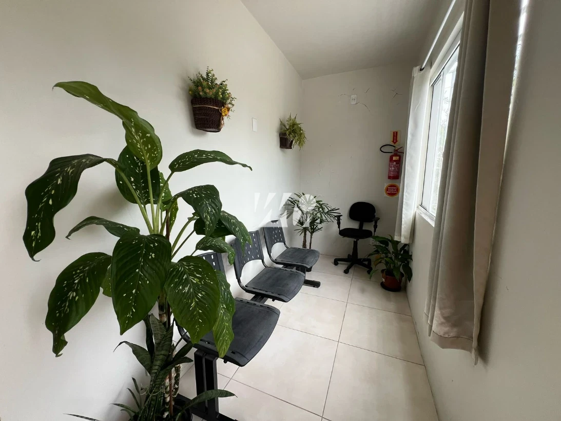 Galpão/Depósito em São Sebastião, Palhoça. 0 quartos, 419m². Imagem 10 de 14