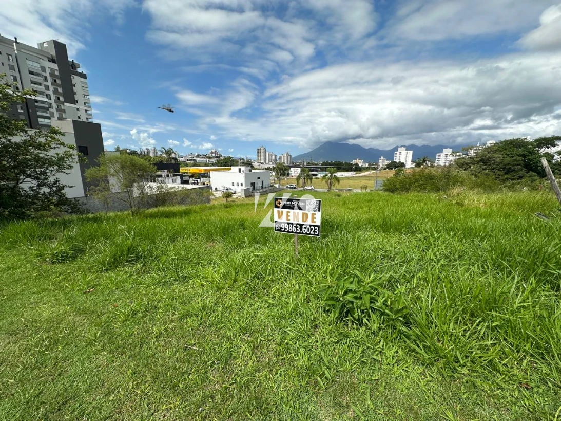 Terreno em Pedra Branca, Palhoça. 0 quartos, 0m². Imagem 1 de 1