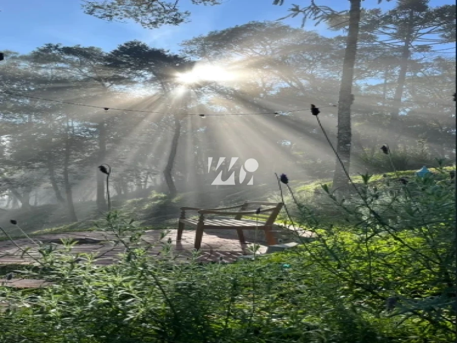 Sítio em Águas Brancas , Urubici. 3 quartos, 130m². Imagem 10 de 24