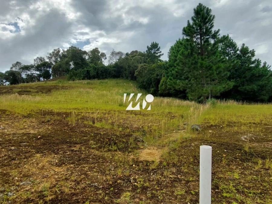 Terreno em , Rancho Queimado. 0 quartos, 0m². Imagem 6 de 8