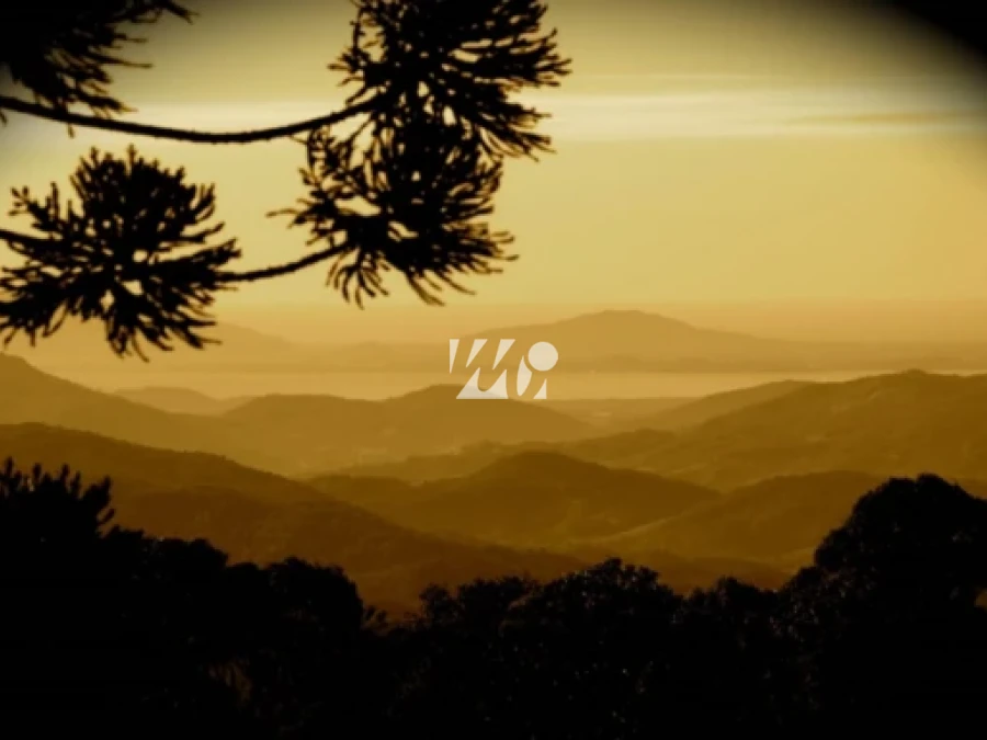 Terreno em , Rancho Queimado. 0 quartos, 0m². Imagem 3 de 8