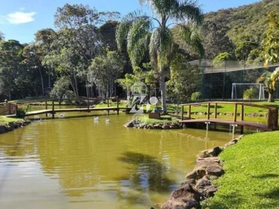 Terreno em Santo Amaro, Santo Amaro do Imperatriz. 0 quartos, 0m². Imagem 1 de 12