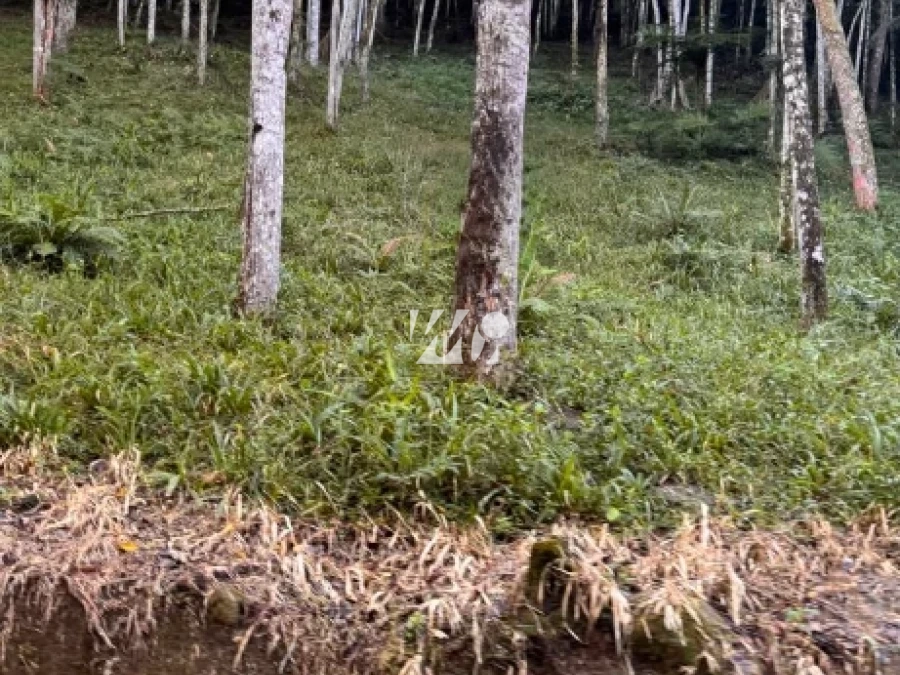 Terreno em , Santo Amaro da Imperatriz. 0 quartos, 0m². Imagem 2 de 6