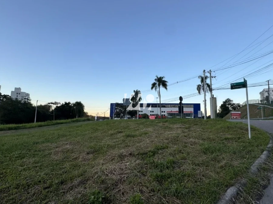 Terreno em Pedra Branca, Palhoça. 0 quartos, 0m². Imagem 3 de 4