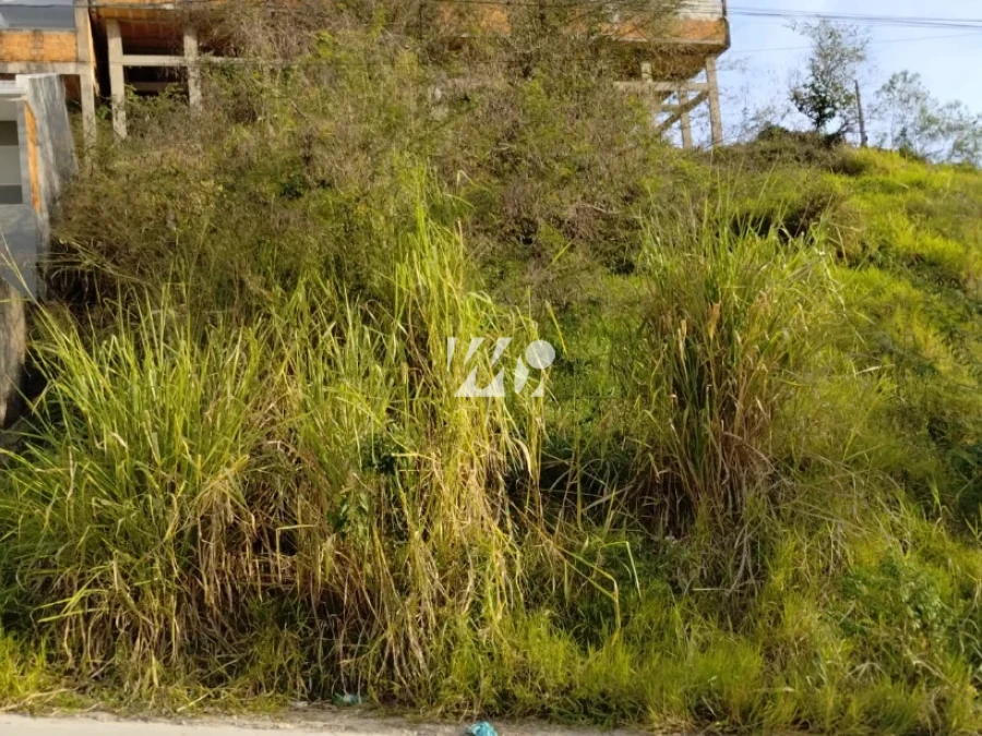 Terreno em Bela Vista, Palhoça. 0 quartos, 0m². Imagem 4 de 6