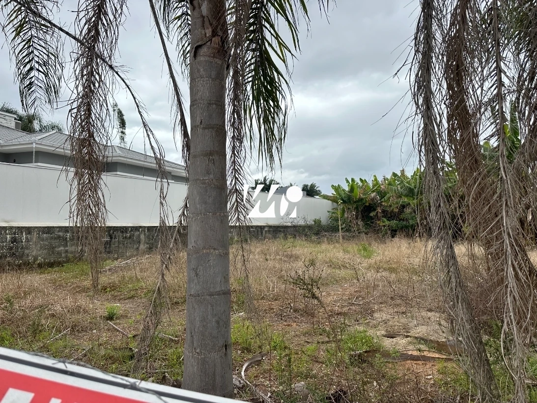 Terreno em Aririú, Palhoça. 0 quartos, 0m². Imagem 1 de 3