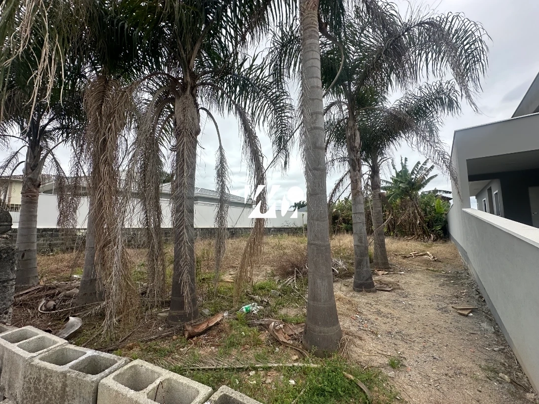Terreno em Aririú, Palhoça. 0 quartos, 0m². Imagem 2 de 3