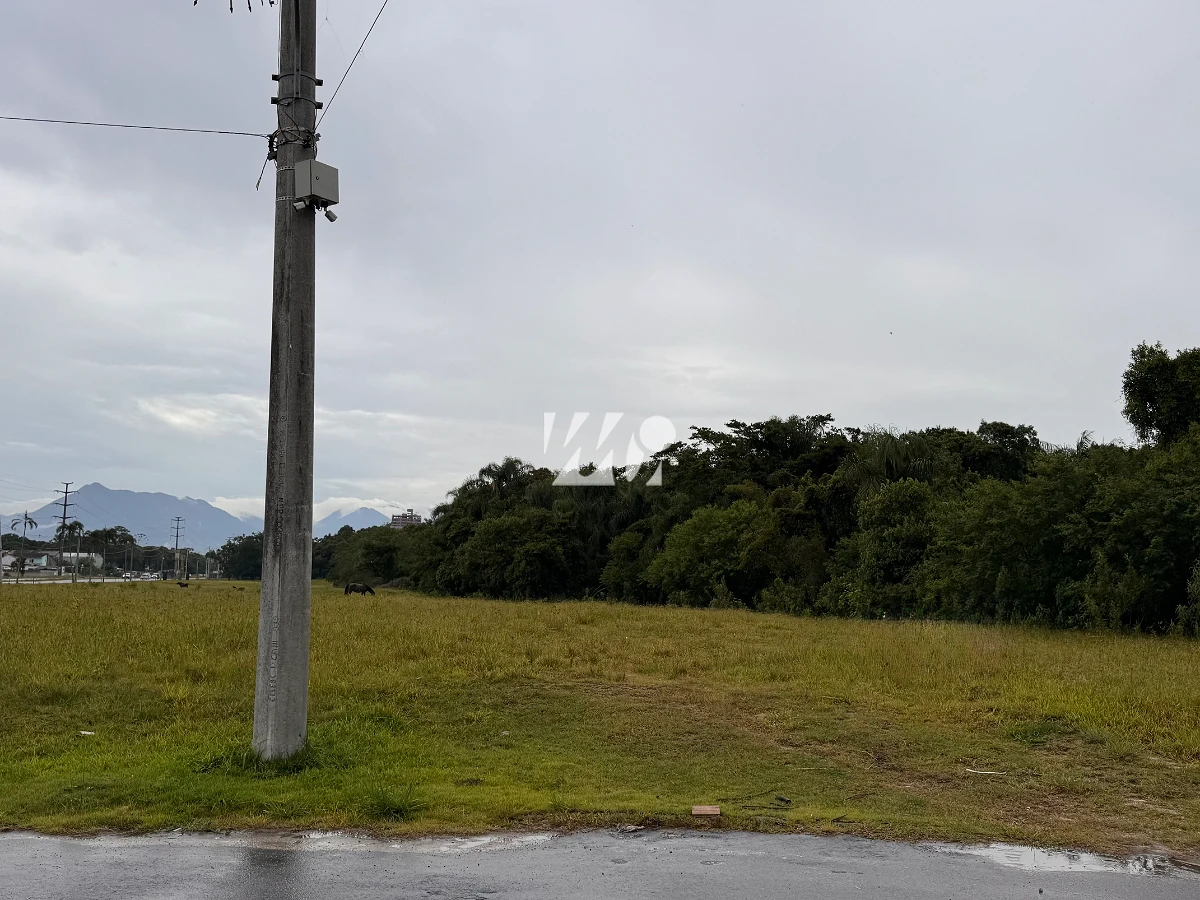 Terreno em Pedra Branca, São José. 0 quartos, 0m². Imagem 4 de 5