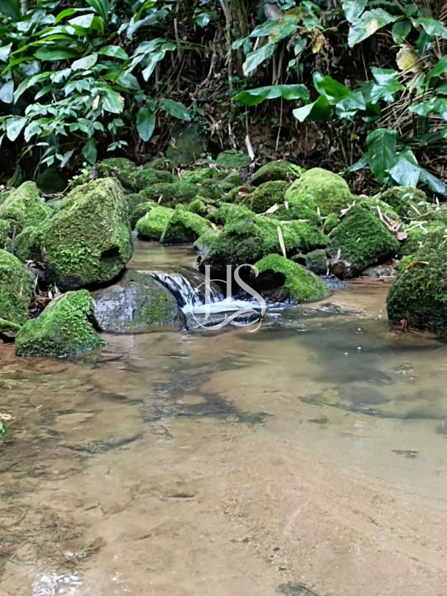Sítio em Pagará, Santo Amaro da Imperatriz. 2 quartos, 0m². Imagem 23 de 24