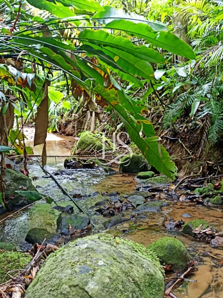 Sítio em Pagará, Santo Amaro da Imperatriz. 2 quartos, 0m². Imagem 24 de 24