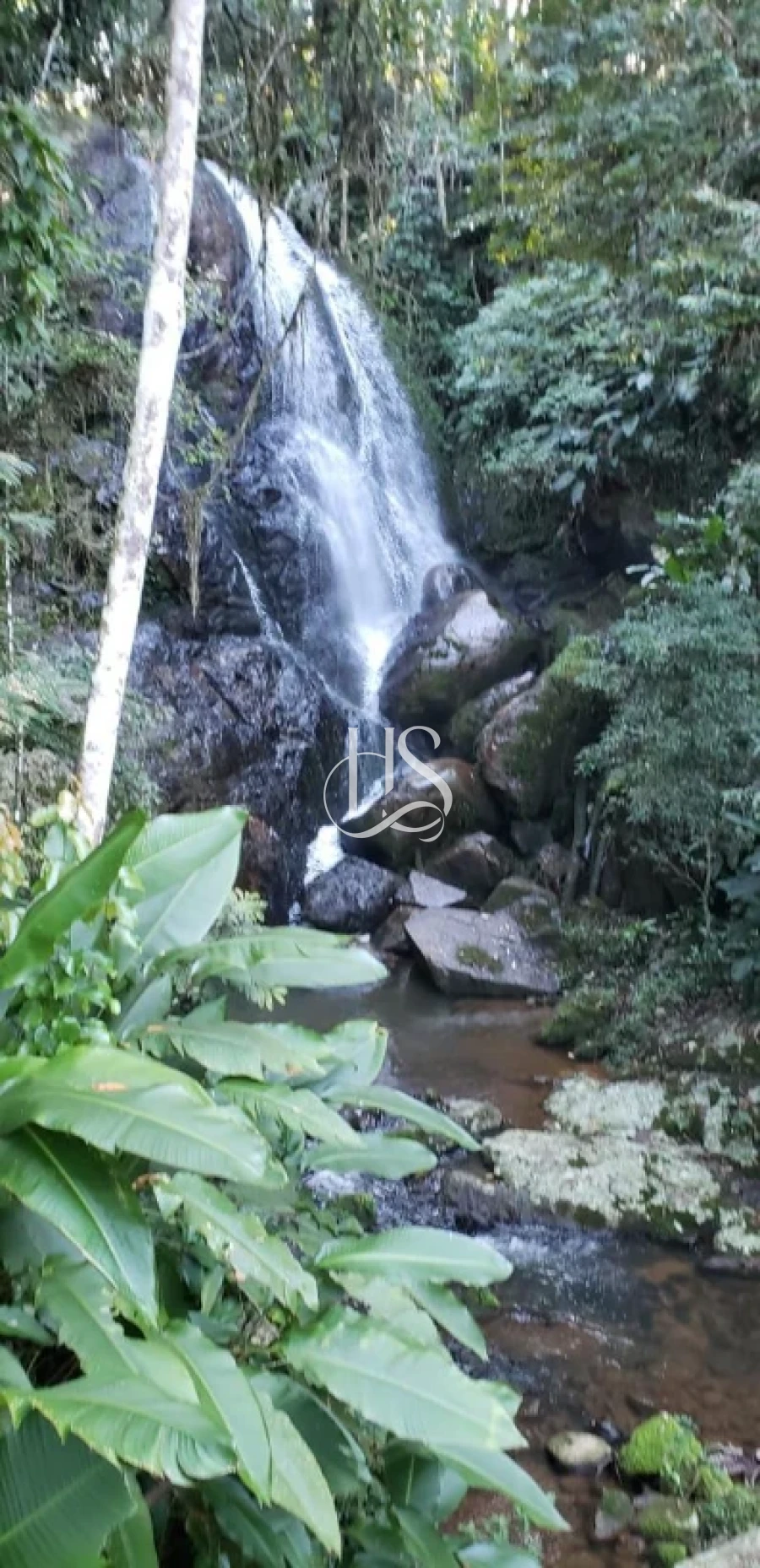 Sítio em Vargem Grande, Águas Mornas. 3 quartos, 80m². Imagem 41 de 43