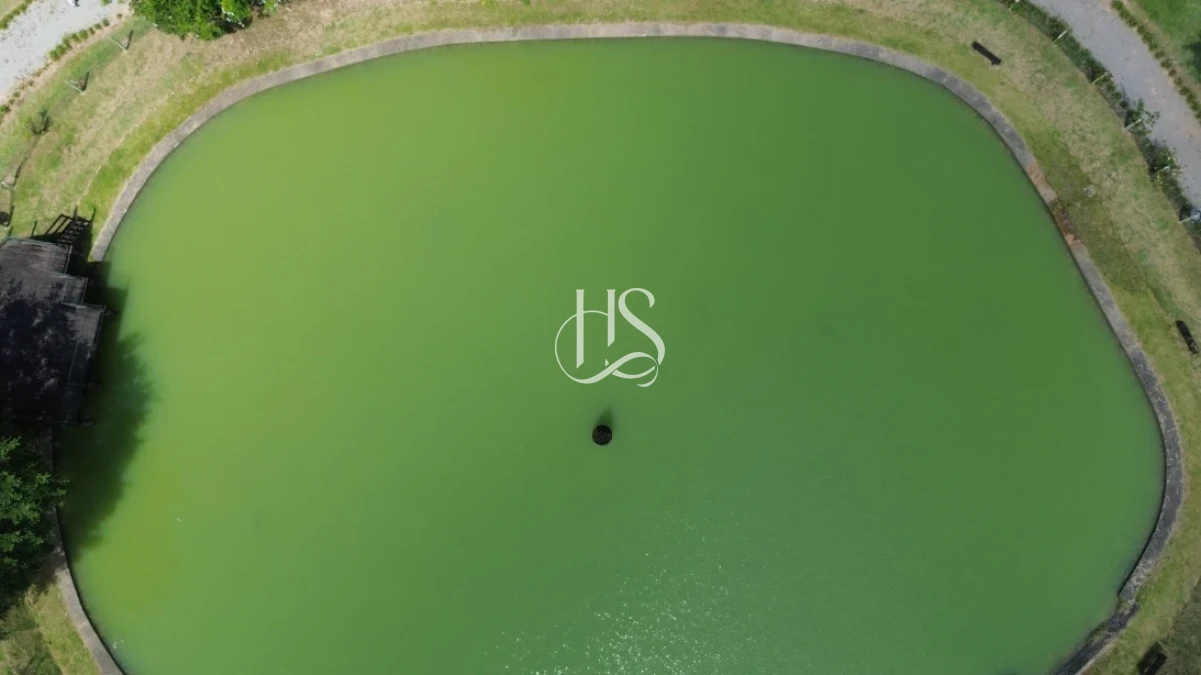 Casa em Sul do rio, Santo Amaro da Imperatriz. 4 quartos, 339m². Imagem 31 de 34