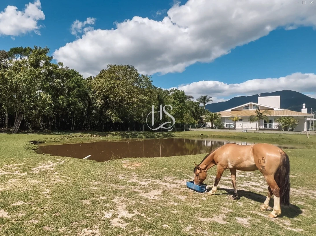 Terreno em Sul do Rio, Santo Amaro da Imperatriz. 0 quartos, 0m². Imagem 14 de 24