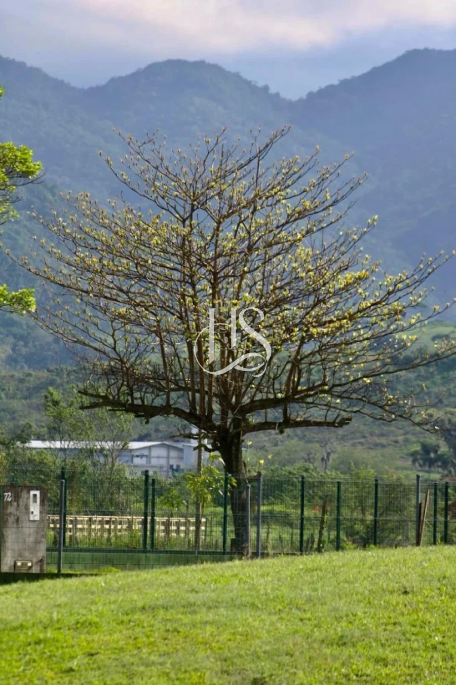 Terreno em Sul do Rio, Santo Amaro da Imperatriz. 0 quartos, 0m². Imagem 20 de 24