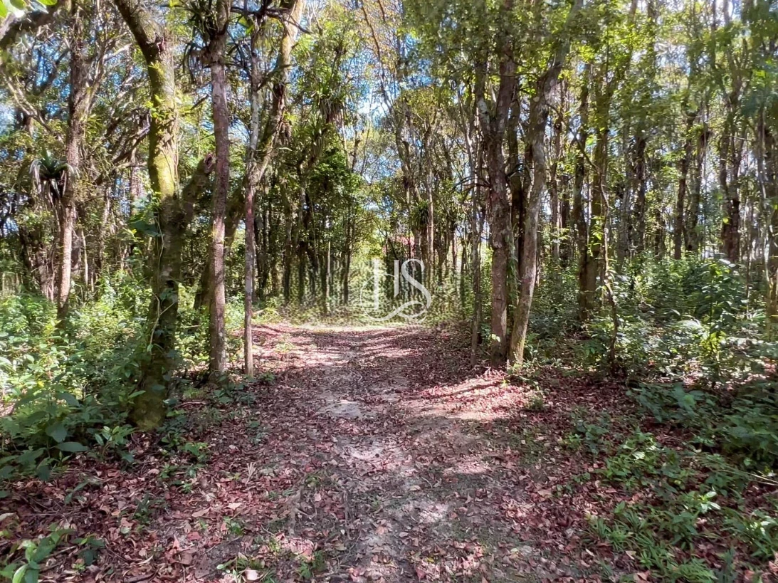 Terreno em Sul do Rio, Santo Amaro da Imperatriz. 0 quartos, 0m². Imagem 4 de 24