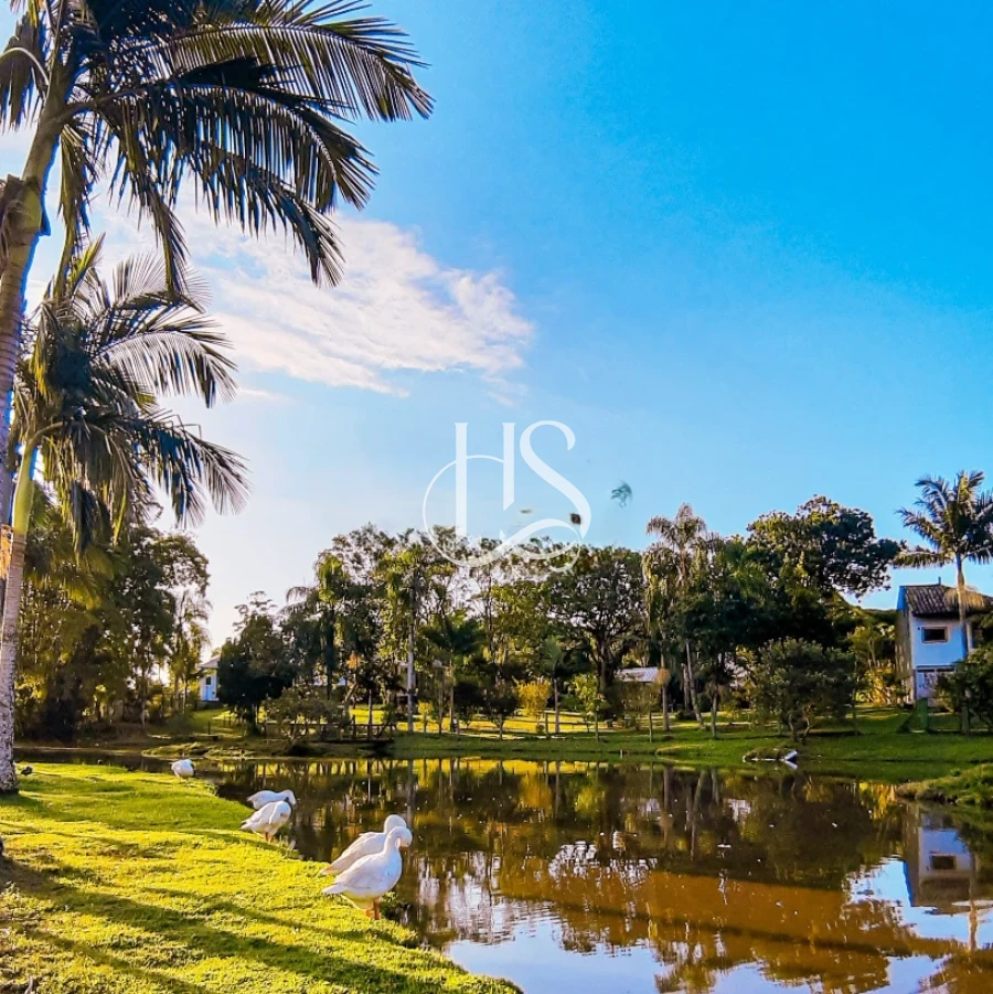 Terreno em Sul do Rio, Santo Amaro da Imperatriz. 0 quartos, 0m². Imagem 13 de 24