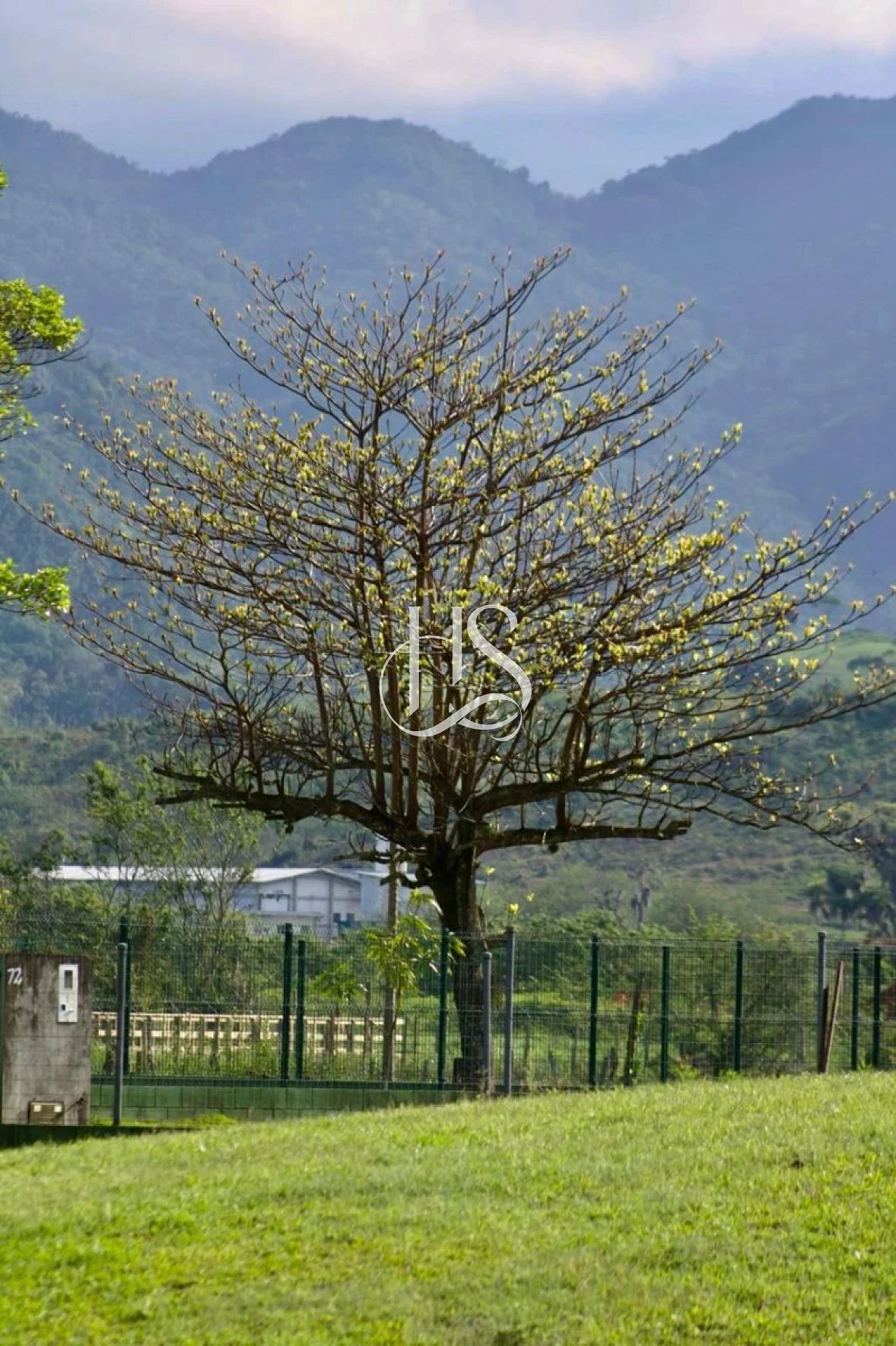 Terreno em Sul do Rio, Santo Amaro da Imperatriz. 0 quartos, 0m². Imagem 6 de 8